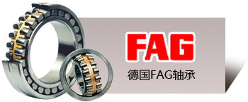 德国FAG轴承